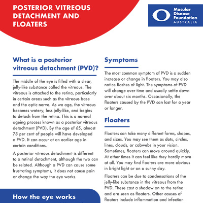 PVD fact sheet